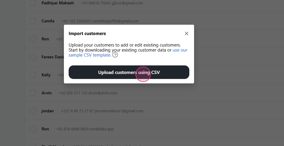 Customer Import (CSV)