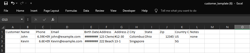 Customer Import (CSV)