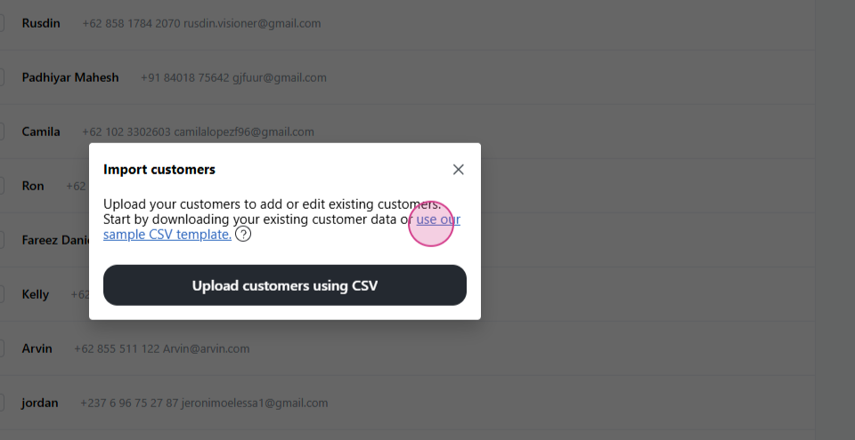 Customer Import (CSV)