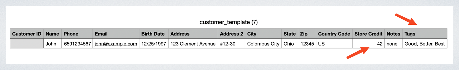 Customer Import (CSV)